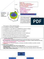 Medio Ambiente