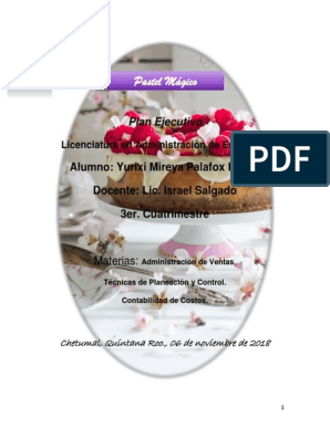 Pastel Mágico. Proyecto | PDF | Plan de negocios | Calidad (comercial)