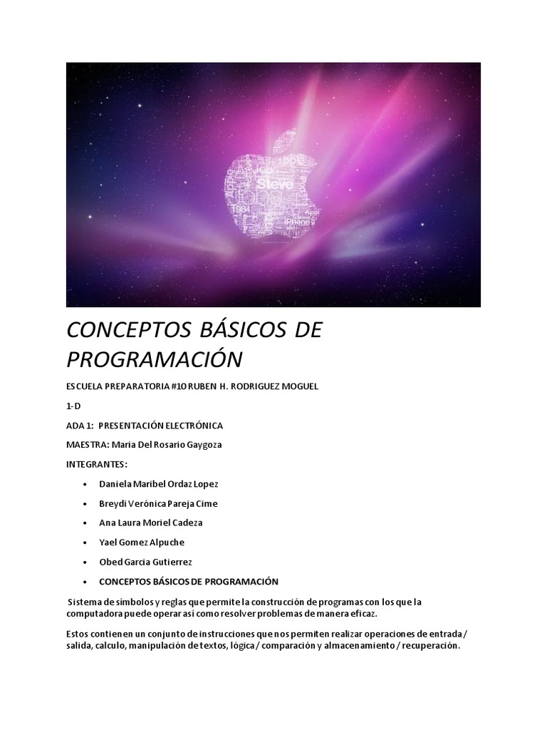 Conceptos Básicos de Programación | PDF | Lenguaje de programación ...