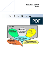 Bc01 - La Celula