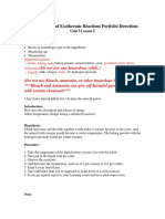 Endothermic Exothermic Lab Template MN