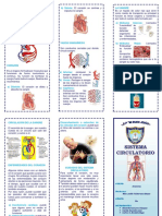 Triptico Sistema Circulatorio