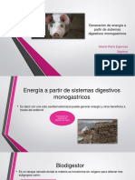 Generación de Energía A Partir de Sistemas Digestivos