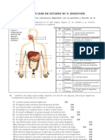 1º - Guía de Estudio Digestión - Actividades