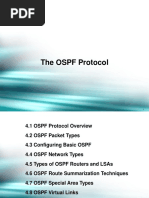 The OSPF Protocol