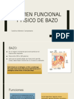 Examen Funcional y Físico de Bazo