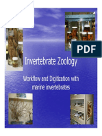Invertebrate Zoology PDF
