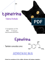 Epinefrina 170601020914