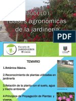 Modulo I Bases Agronomicas-Las Plantas PDF