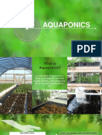 Aquaponics: An Efficient Way to Grow Fish and Plants