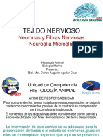  Sistema Nervioso / Histologia