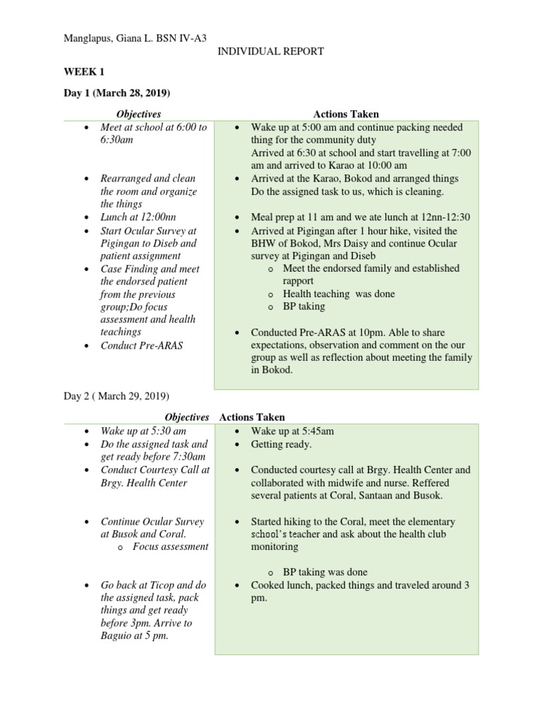 Community Health Nursing Report: Weeks 1-3 | PDF | Health Sciences ...