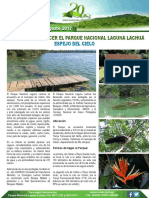 Boletin laguna lachua.pdf
