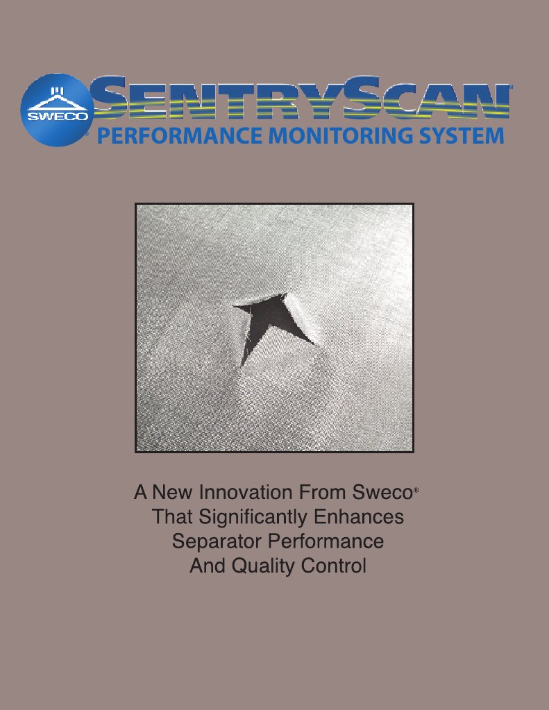 Sentry Scan | PDF