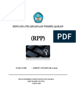 RPP Peer Teaching