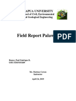 Field Report Palawan - Ibanez