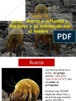 13 Ácaros, Influenza, Roedores y La Interrelación Con El Hombre PDF