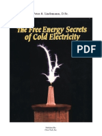 Lindemann - The Free Energy Secrets of Cold Electricity ITALIANO
