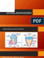 Desarrollo del sistema respiratorio