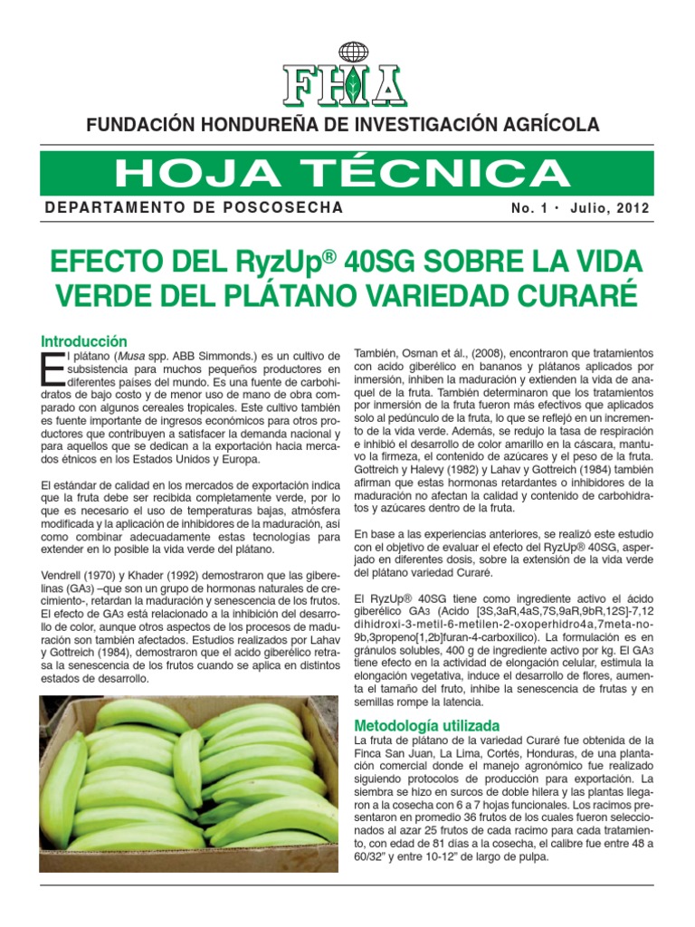 ficha tecnica del banano.pdf Plantas Naturaleza