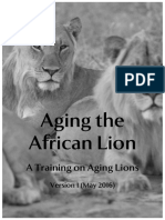 Aging The African Lion: A Training On Aging Lions