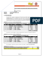 Modelo Informe de Protocolo de Prueba.