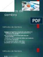 Técnicas de Siembra