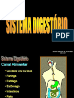 15 - Sistema Digestório II PDF