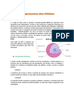 Funções Das Estruturas Das Células PDF