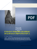 ENDAPAN_PORFIRI_GRASBERG_DI_KAWASAN_PROV.docx