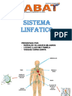 Sistema Linfatico