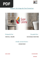 Rapport de stage dinitiation.docx