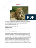 Leopardo