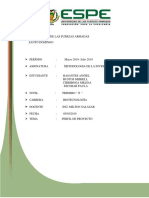 Perfil Proyeto Informe