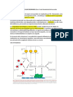 Coagulacion Intravascular Diseminada