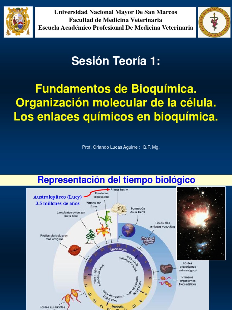 Fundamentos de la teoria celular
