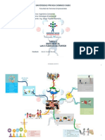 Tarea 2 Mapa Mental Las 5 Fuerzas de Porter