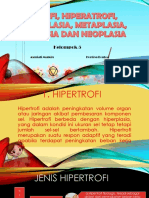 Hipertrofi, Atrofi, Hiperplasia, Metaplasia, Displasia, Dan Neoplasia