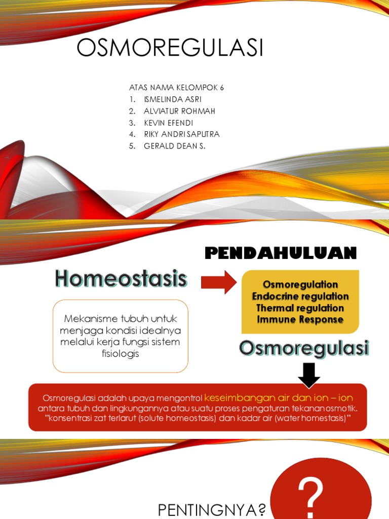 73+ Perbedaan Osmoregulasi Ikan Air Tawar Dan Ikan Air Laut Terbaik