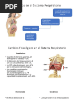 Cambios en El Sistema Respiratorio