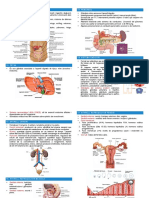 2n Parcial Histo PDF