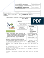 Estímulos en Las Plantas PDF