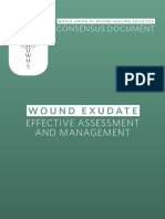 Wuwhs Consensus Document Wound Exudate Effective Assessment and Management