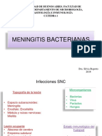 Repetto - Teorico. Meningitis Bacteriana 2019
