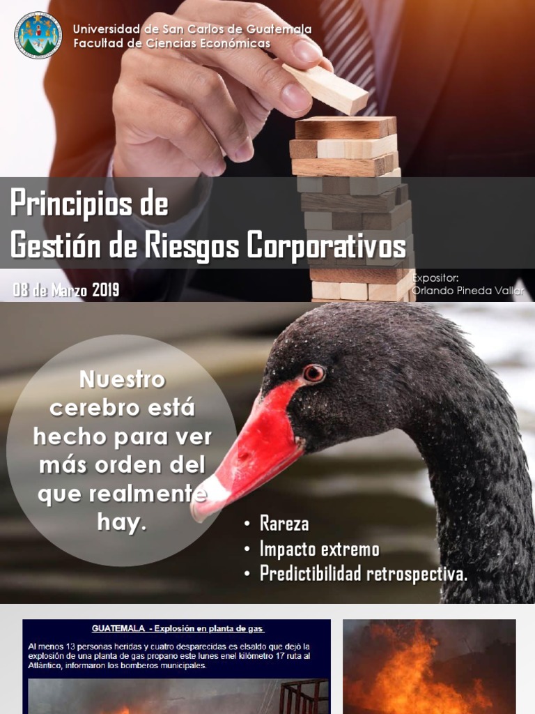 Principios COSO ERM 2017 en Riesgos | PDF | Gestión de riesgos | Toma ...