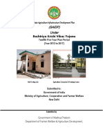 SAIDP (Booklet) Final PDF