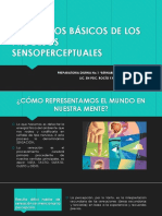 Procesos Sensoperceptuales