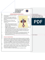 Generalidades Del Sistema Renal