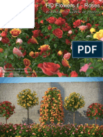 HD Flowers 1 Roses