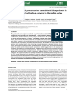 The Hexanoyl-Coa Precursor For Cannabinoid Biosynthesis Is Formed by An Acyl-Activating Enzyme in Cannabis Sativa Trichomes